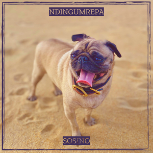 Ndingumrepa