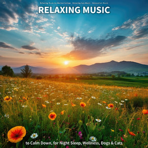 Serene Music for Girls