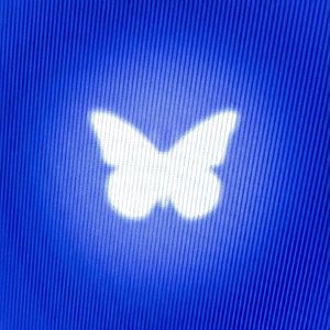 夏日来信（Prod.by Mr.Nine）