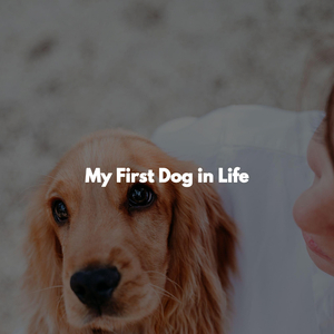 Playful (Calming for Mornings)