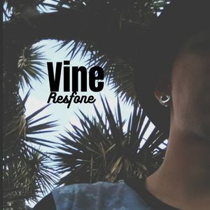 Vine
