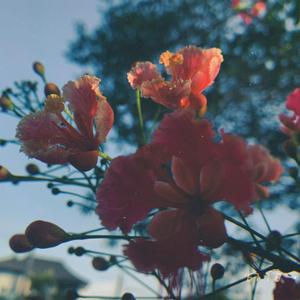 ไม่ต้องกังวล