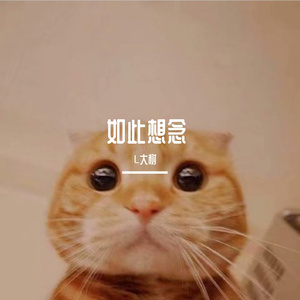 如此想念