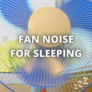 Fan (Loop)