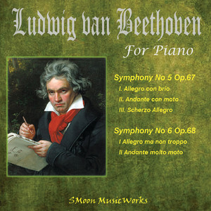 베토벤 교향곡 5번 운명 1악장 Symphony No 5 Op.67 I. Allegro con brio