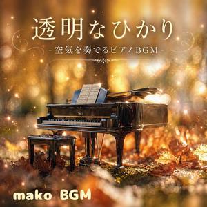 フェルトの記憶