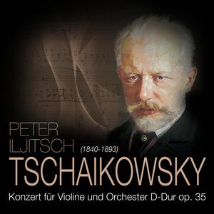 Konzert für Violine und Orchester D-Dur op. 35, Allegro moderato