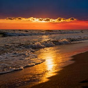 别让我一个人醉