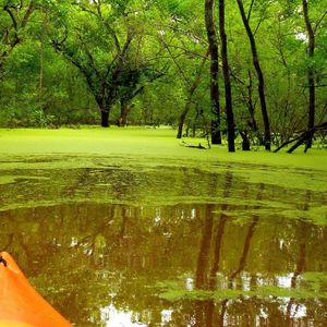 这一生关于你的风景