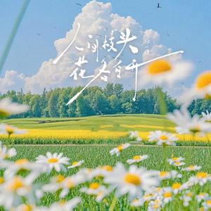 人间枝头,花各自开