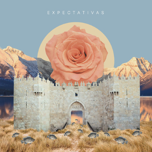 Expectativas