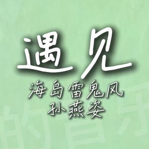 遇见（海岛雷鬼风版）