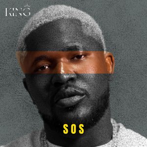 See It, Say It, Sorted!