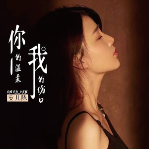 你的温柔我的伤口