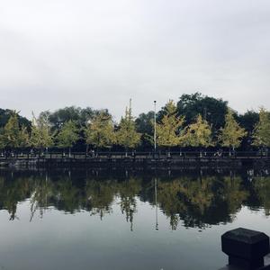 小红帽的专属秋天