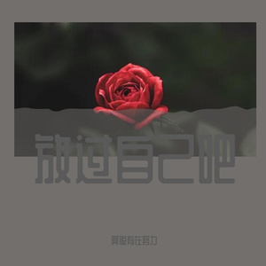 声音录制_131504_131528_track0_131528