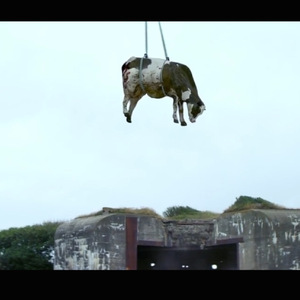 欢啊，我快乐的要死