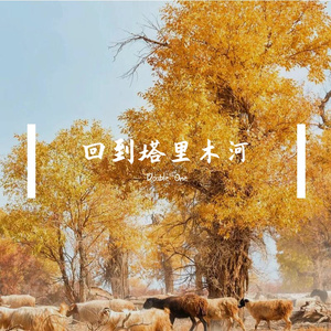 回到塔里木河