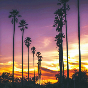 Universal Ways (Mellow Tribe Remix)