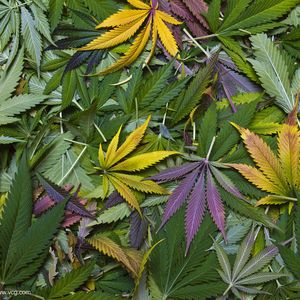 怕冷的人不再有去处