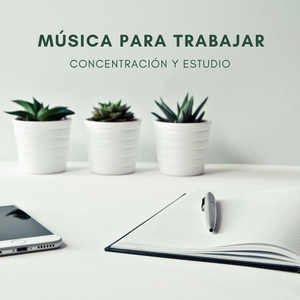Música Productiva