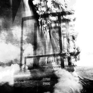 Forest Fog Agony