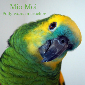 Polly wants a cracker