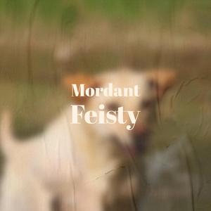Mordant Feisty
