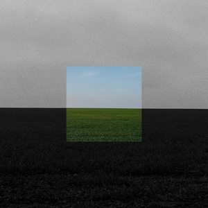 Закувала зозулина