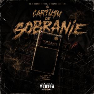 CARTUȘU DE SOBRANIE