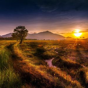 梦中的自由被打断