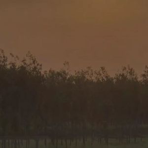 incineration 焚烧 (prod.Shosei）