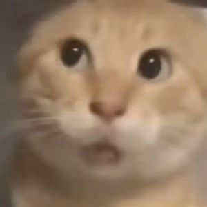 基真的特别爱你（wututu remix）