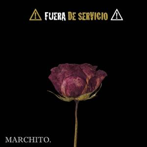 Marchito