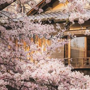 请继续不完美的人生