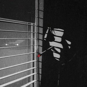 雾漫松林的朦胧