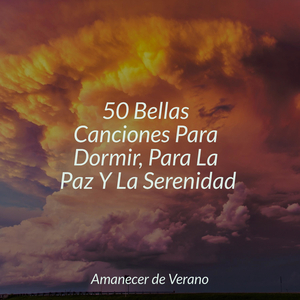 El Resplandor Fugaz del Crepúsculo