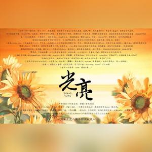 【百人合唱】光亮（纯歌版）