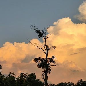 冬眠（热播伴奏）