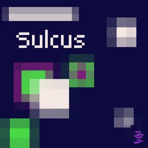 Sulcus