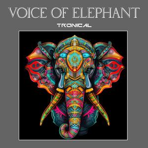 Voice Of Elephant