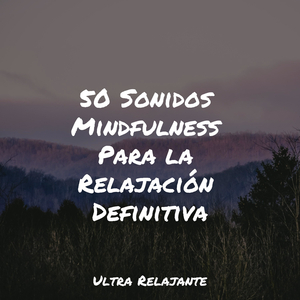 Meditación Relajante