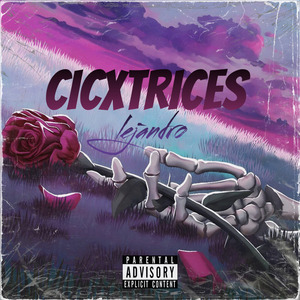 Cicxtrices