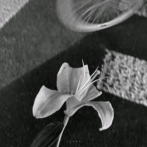 爷的心禁止访问✩˚_•̩̩͙ʚ