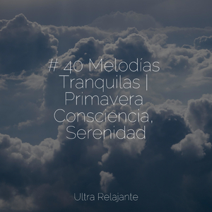 Despertares De Primavera