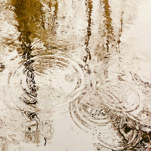 For We Are Also What We Have Lost