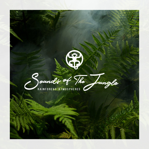 Rainforest Atmospheres