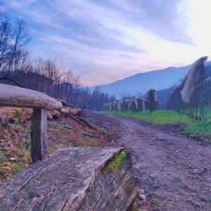 Conversation With Myself