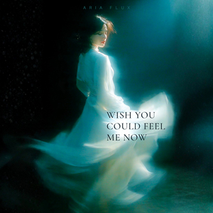 Wish You Could Feel Me Now