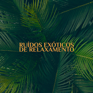 Música da Natureza para Relaxar